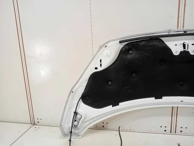 Cofano ANT 2445243 Ford Transit Custom I 2013