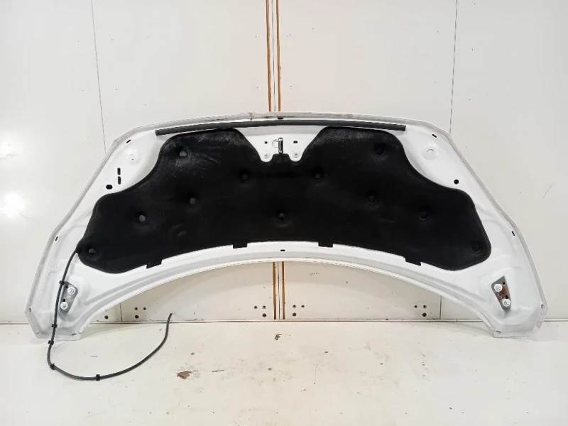 Cofano ANT 2445243 Ford Transit Custom I 2013