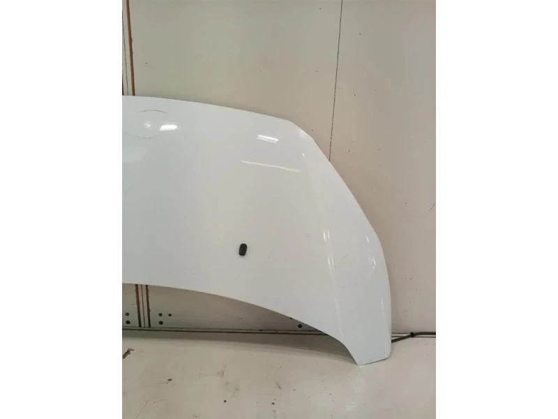 Cofano ANT 2445243 Ford Transit Custom I 2013