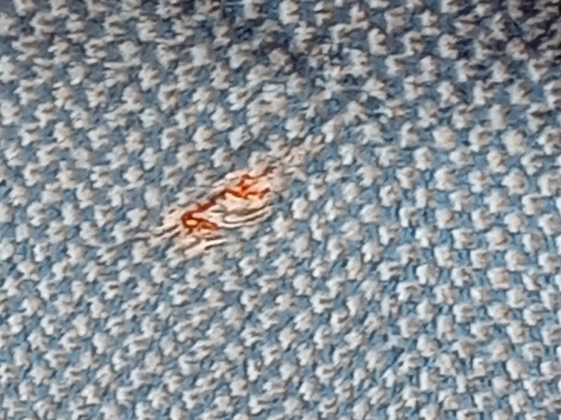 KIT Sedili KIT SEDILI Fiat Ducato 250 2007