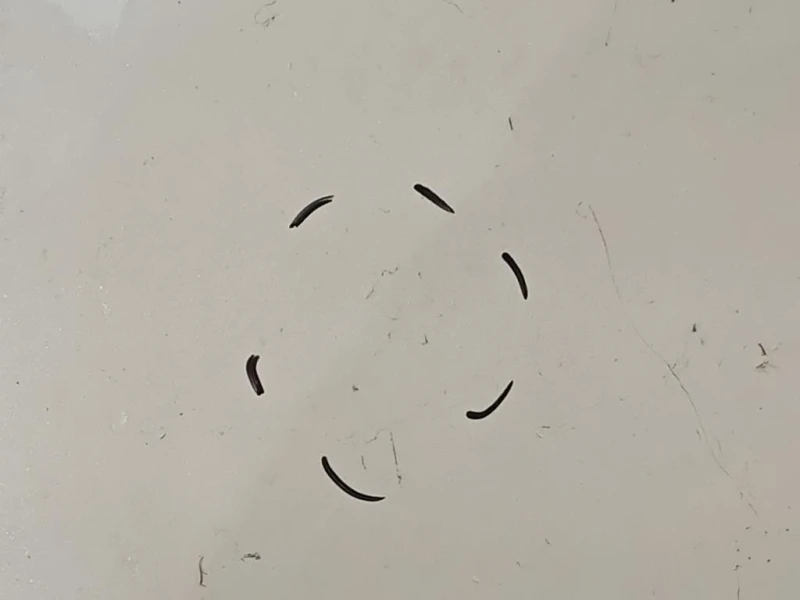 Cofano ANT COFANO ANT Honda HR-V III 2021