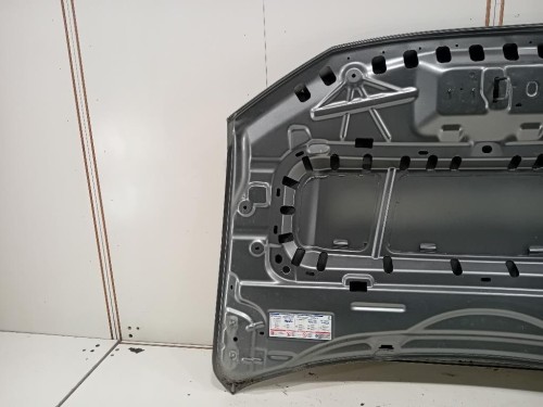 Cofano ANT 52169733 Jeep Avenger 2022