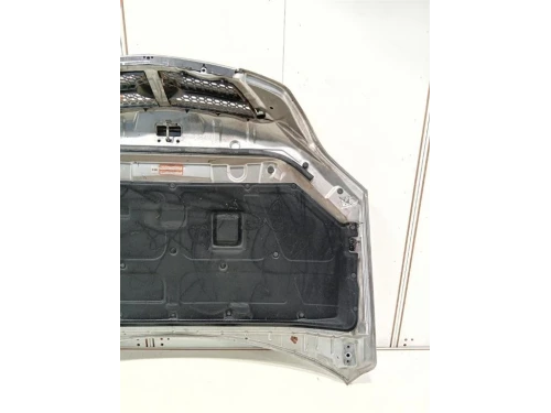 Cofano ANT 664003E310 Kia Sorento II 2006