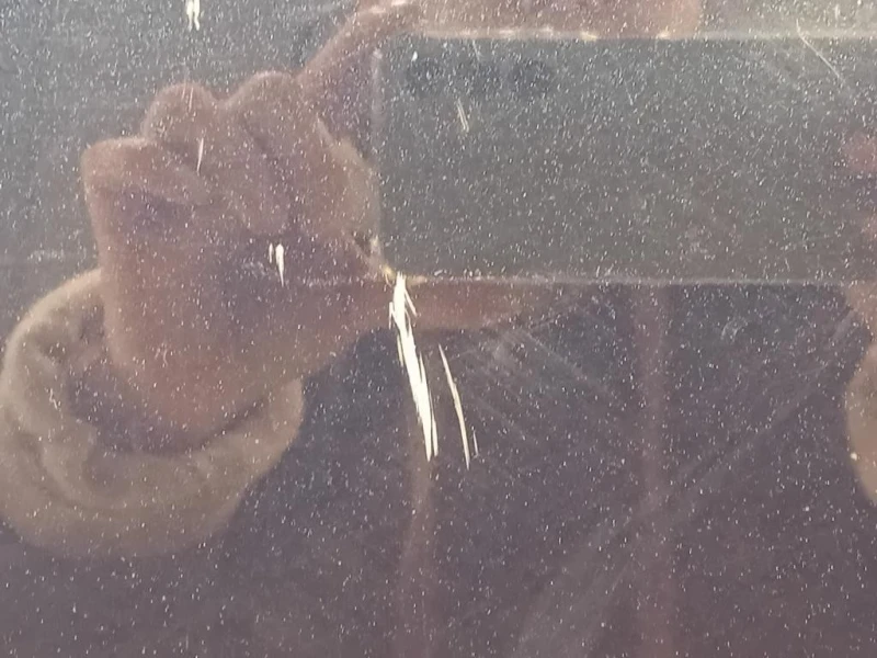 Cofano ANT LR123437 Land Rover Range Rover Evoque I 2011