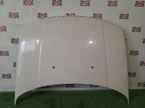 Cofano ANT BKA790050 Land Rover Range Rover Sport II 2009