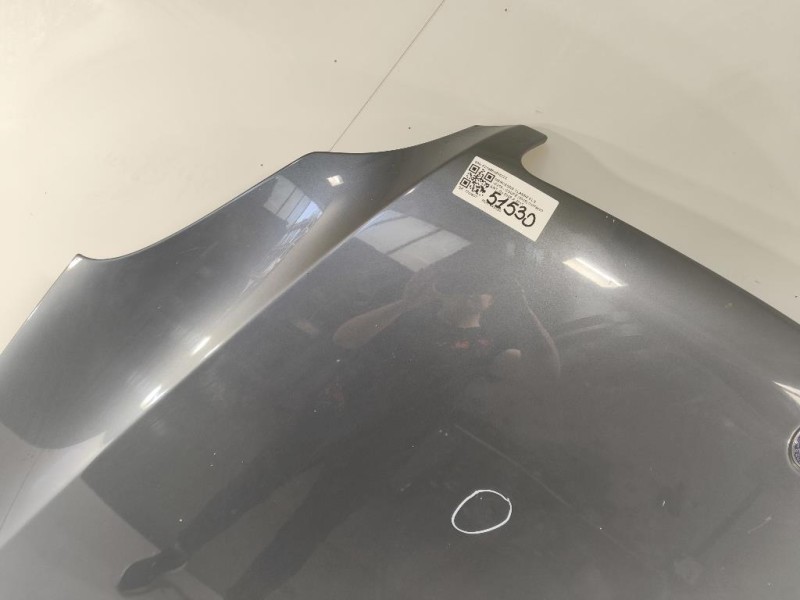 Cofano ANT A219880035728 Mercedes Classe CLS C219 Coupé 2005