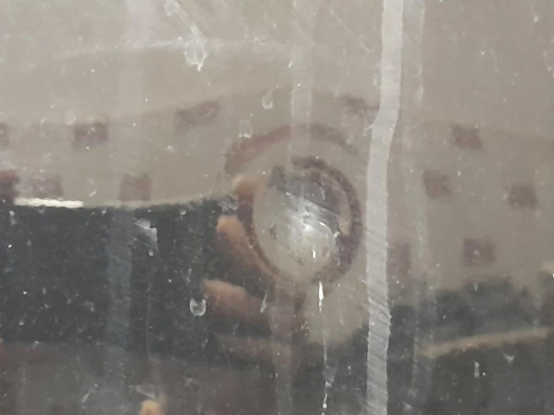 Cofano ANT A2538870403 Mercedes Classe GLC X253 2019