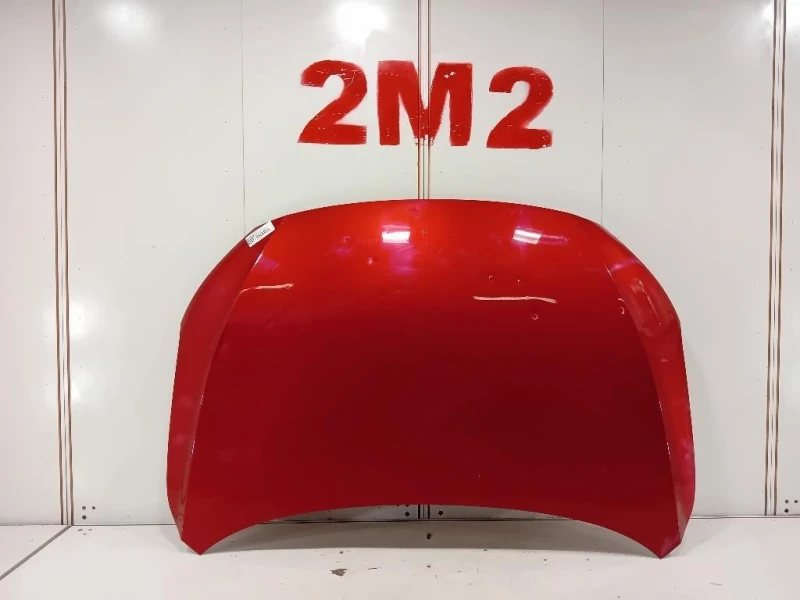 Cofano ANT LSJW74U95RZ255174 Mg ZS II 2020