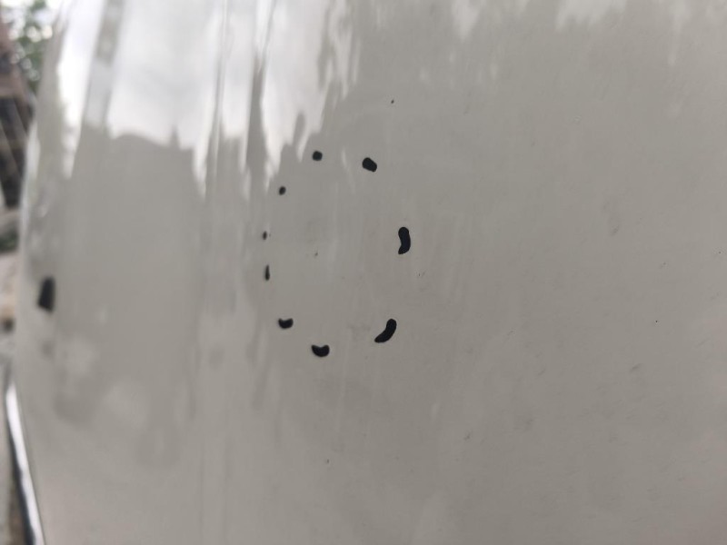 Cofano ANT 41617318364 Mini MINI Cooper R56 2007