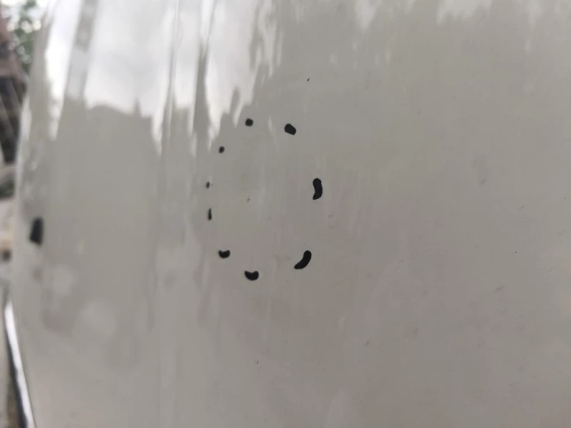 Cofano ANT 41617318364 Mini MINI Cooper R56 2007