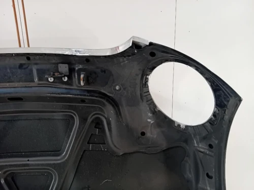 Cofano ANT 41612754738 Mini MINI ONE R56 2007