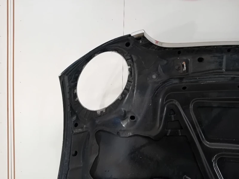 Cofano ANT 41612754738 Mini MINI ONE R56 2007