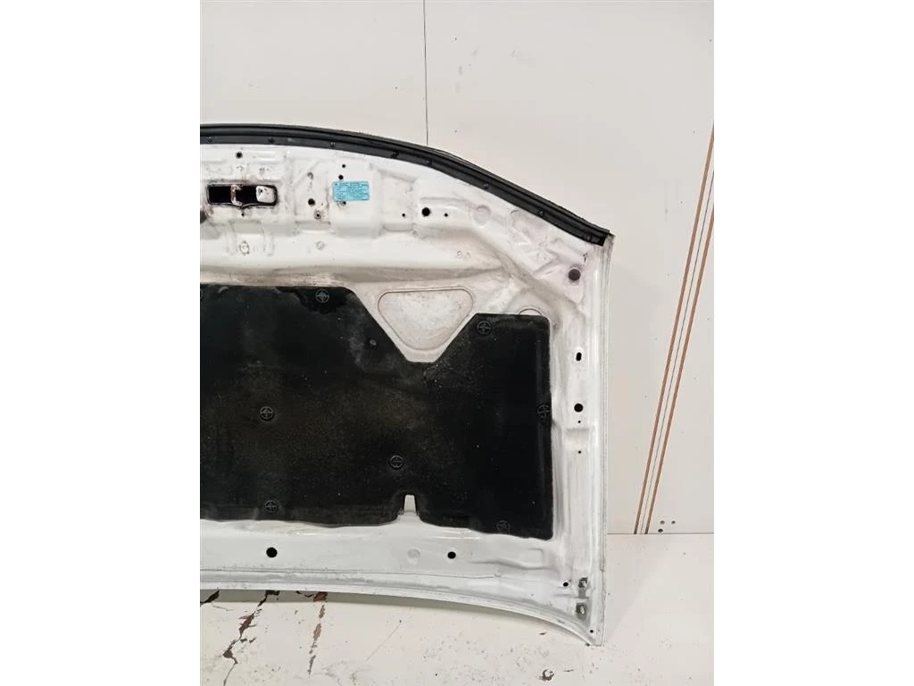 Cofano ANT F51005X3MA Nissan Navara 2010