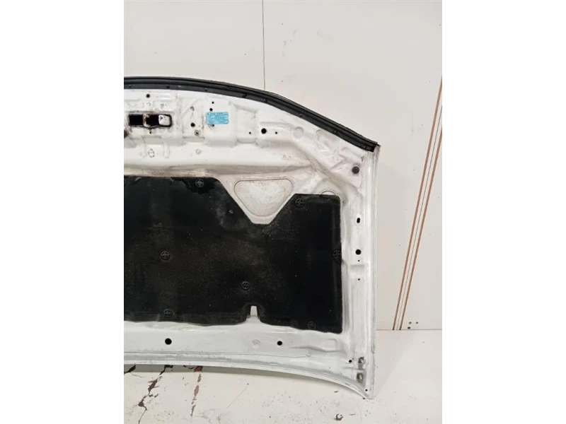 Cofano ANT F51005X3MA Nissan Navara 2010