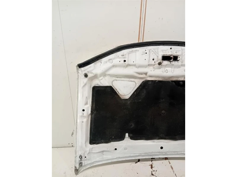 Cofano ANT F51005X3MA Nissan Navara 2010