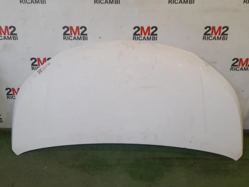 Cofano ANT F5100BJ0MA Nissan Nv200 2009