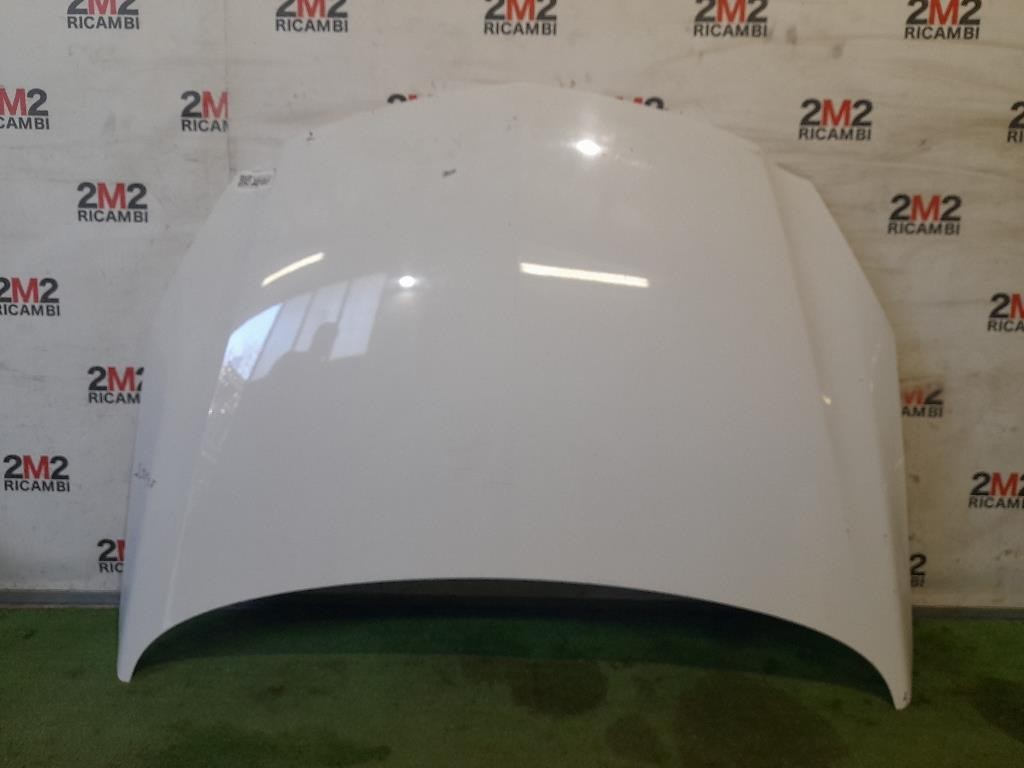 Cofano ANT 39059617 Opel Insignia A 2009