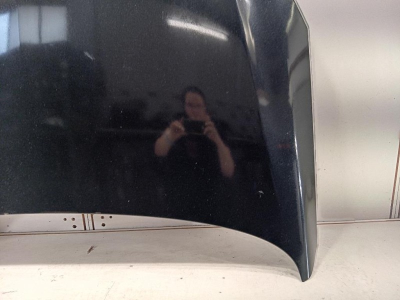 Cofano ANT 39059617 Opel Insignia A 2013