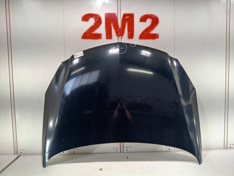 Cofano ANT 39059617 Opel Insignia A 2013