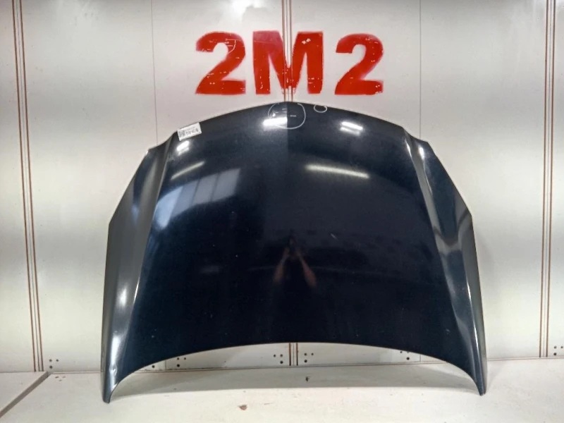 Cofano ANT 39059617 Opel Insignia A 2013