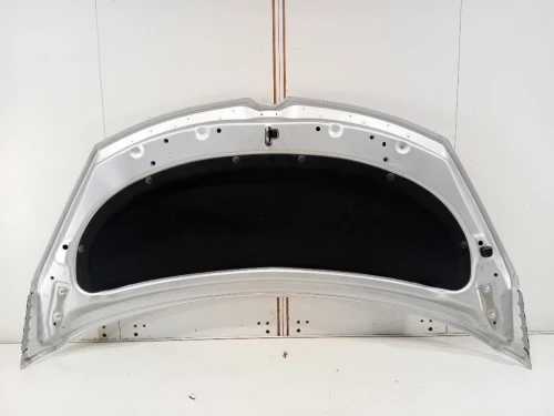 Listello Cruscotto LATO Passeggero DX 735641733 Fiat 500 II 2015