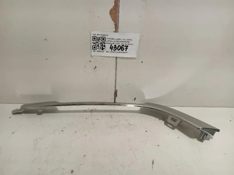 Listello Decorazione Paraurti ANT DX 98118266VD Citroen Jumpy IV 2016
