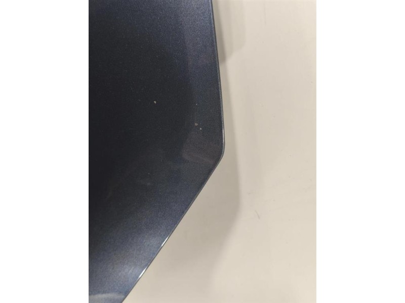 Cofano ANT 651009833R Renault CLIO IV 2016