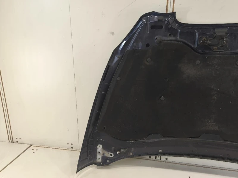 Cofano ANT 5P0823031B Seat Altea XL 5P5 2004