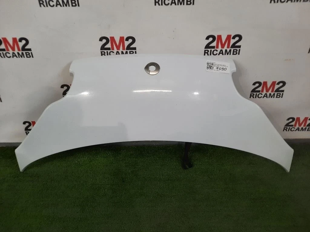Listello Mascherina FARO Fendinebbia DX 261A28562R Renault Scénic IV 2016