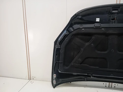 Listello Mascherina FARO Fendinebbia SX 735354042 FENDINEBBIA Fiat Punto II 2003