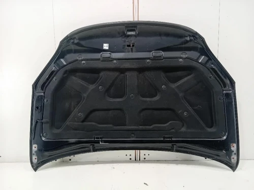 Listello Mascherina FARO Fendinebbia SX L1TB15B217B Ford PUMA II 2019