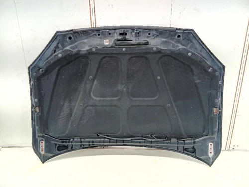 Listello Modanatura Raschiavetro Porta ANT SX Toyota RAV 4 V 2018