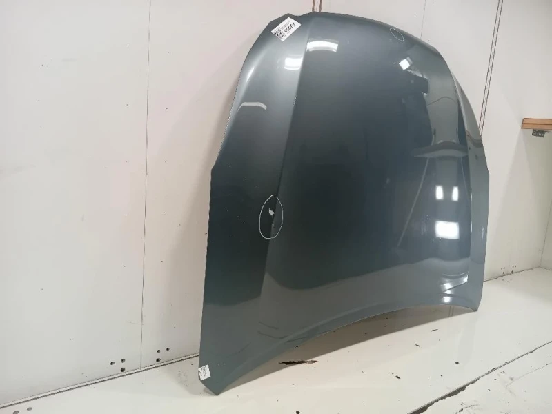 Cofano ANT 57229AJ0219P Subaru Outback III 2009