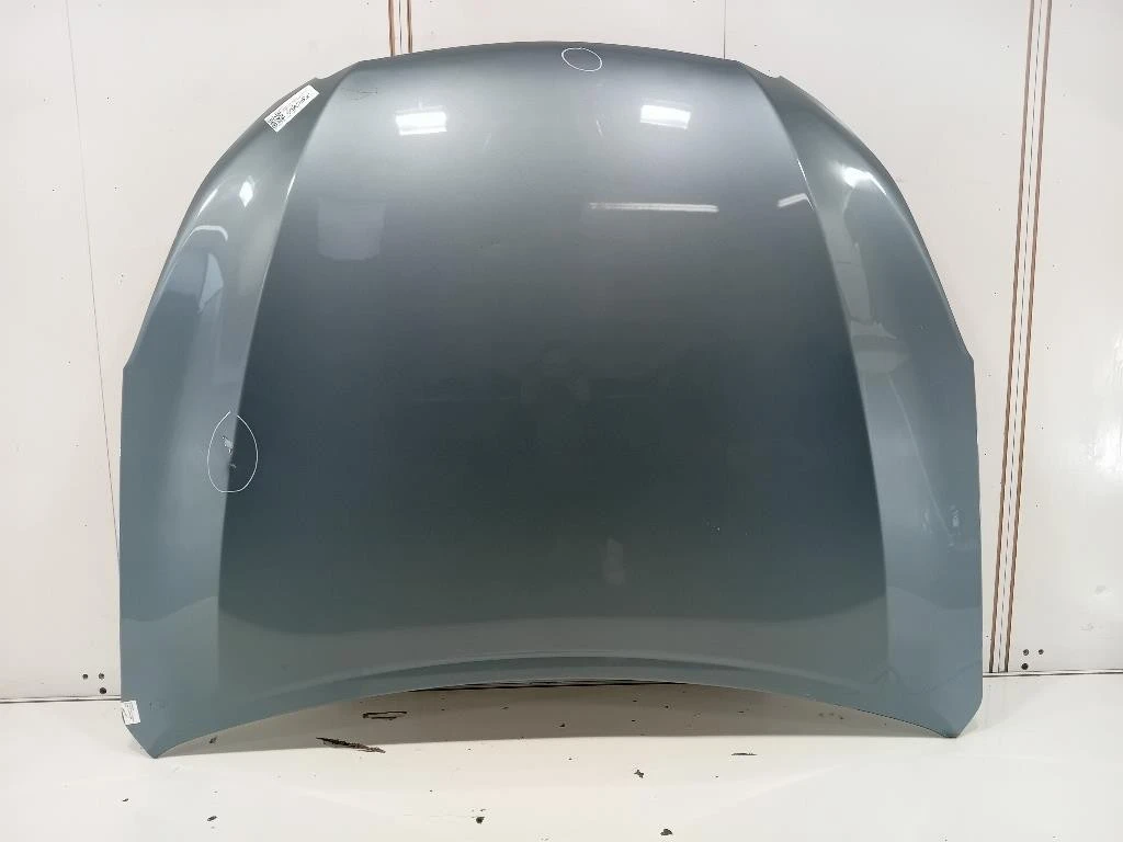 Cofano ANT 57229AJ0219P Subaru Outback III 2009