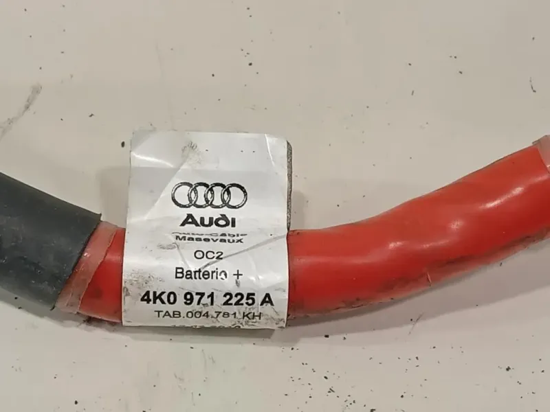 Caricabatteria 4K0 971 225 A Audi A6 4a5c8 Avant 2018