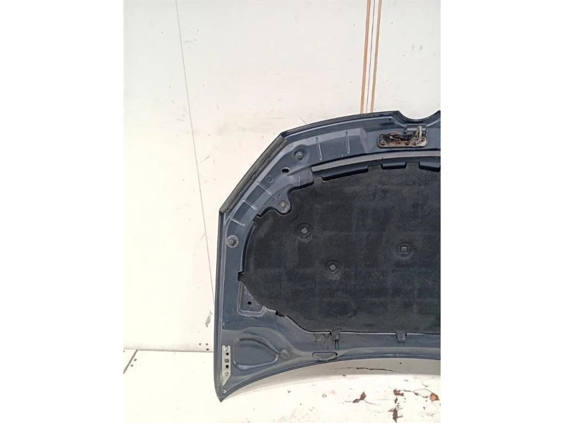 Cofano ANT COFANO ANT Volkswagen GOLF VI 2009