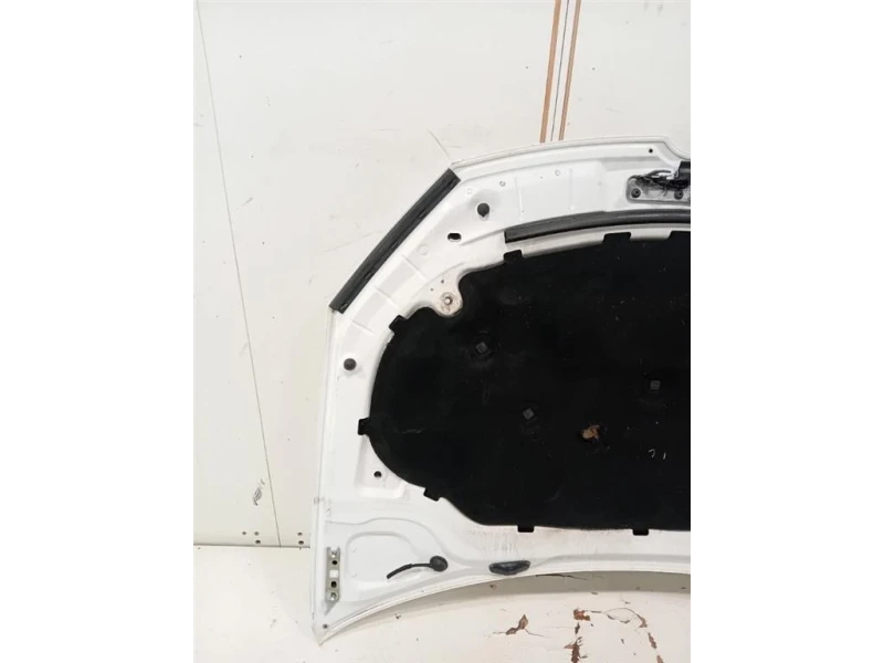 Cofano ANT 5K0823031F Volkswagen GOLF VI 2009