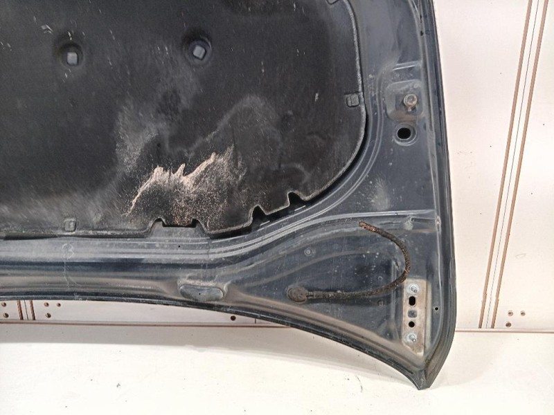 Cofano ANT 5G0823031J Volkswagen GOLF VII 2013