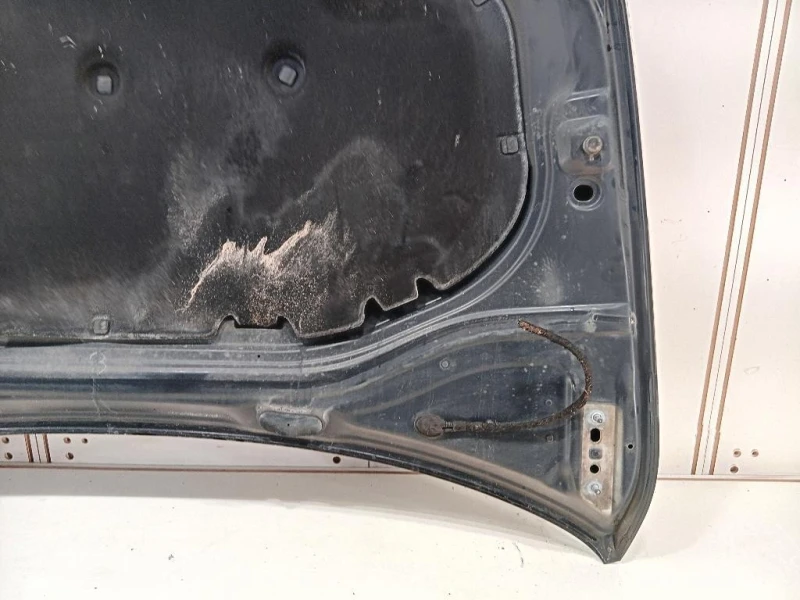 Cofano ANT 5G0823031J Volkswagen GOLF VII 2013