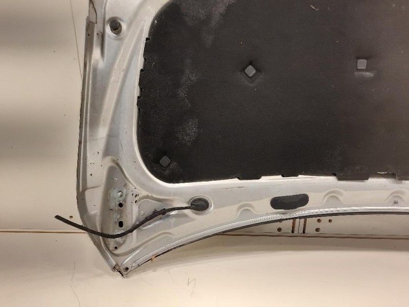 Cofano ANT 5M0823031F Volkswagen GOLF PLUS I 2004