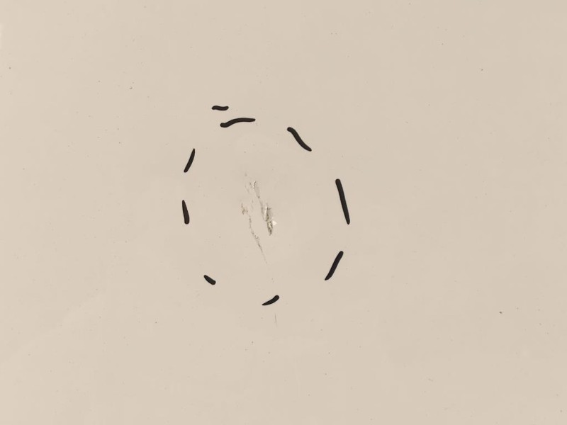 Cofano ANT 6R0823031G Volkswagen POLO VI 2009