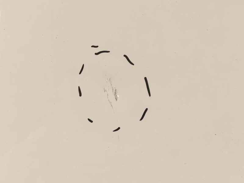 Cofano ANT 6R0823031G Volkswagen POLO VI 2009