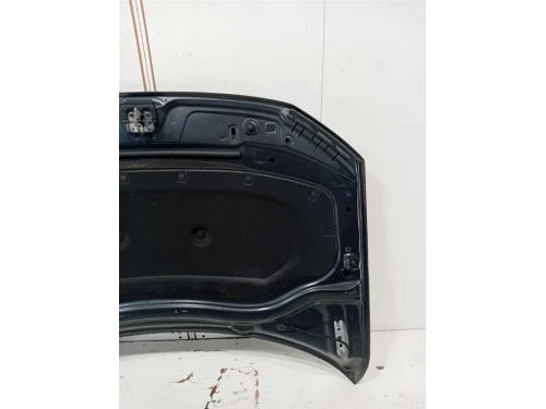 Cofano ANT 5NA823031L Volkswagen Tiguan II 2020