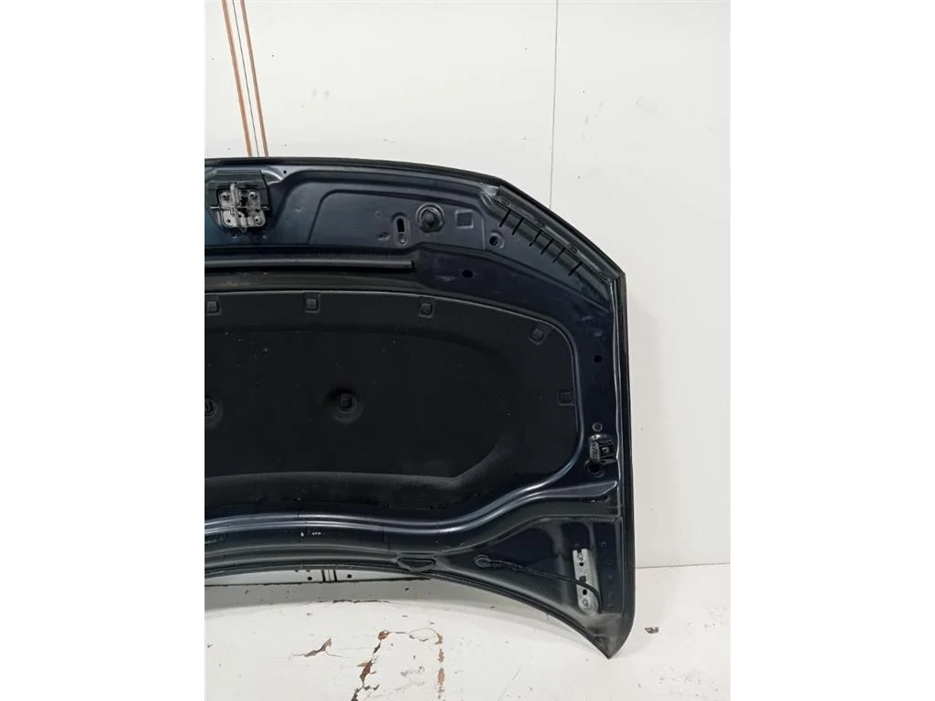 Cofano ANT 5NA823031L Volkswagen Tiguan II 2020