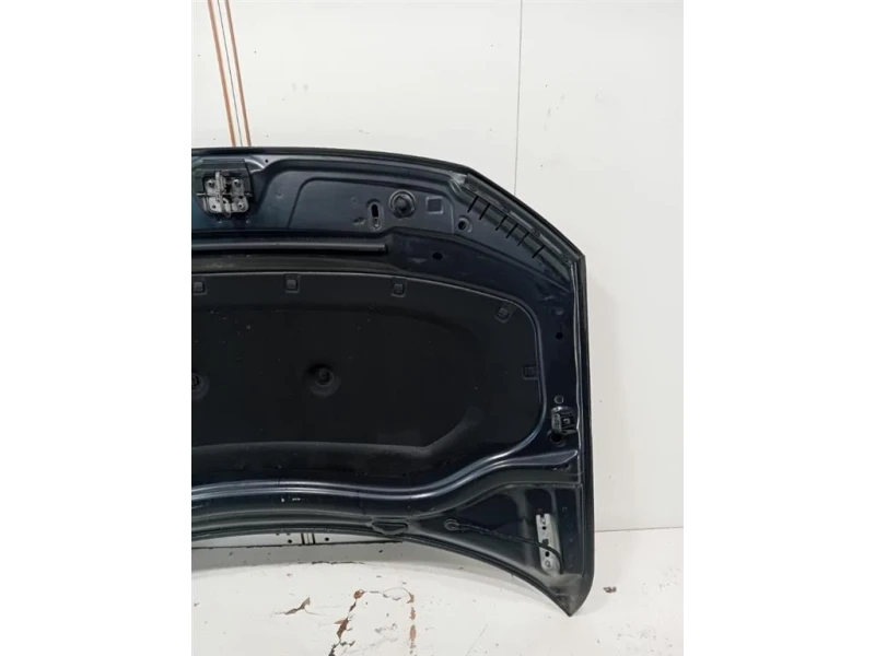 Cofano ANT 5NA823031L Volkswagen Tiguan II 2020