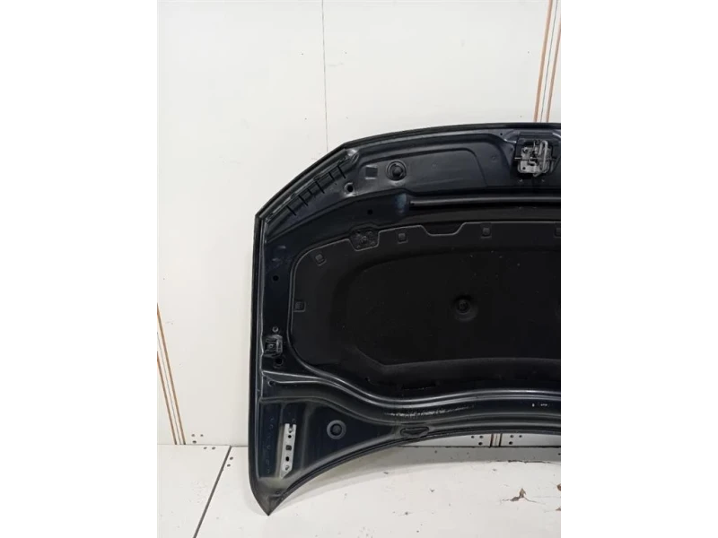 Cofano ANT 5NA823031L Volkswagen Tiguan II 2020