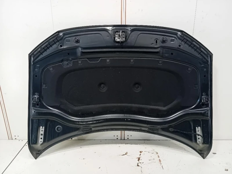 Cofano ANT 5NA823031L Volkswagen Tiguan II 2020