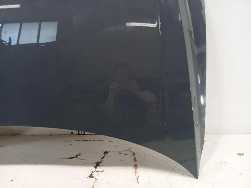 Cofano ANT 5NA823031L Volkswagen Tiguan II 2020
