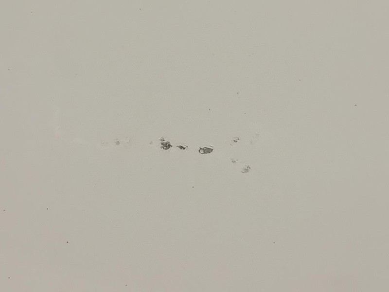 Cofano ANT 31371415 Volvo V50 2004