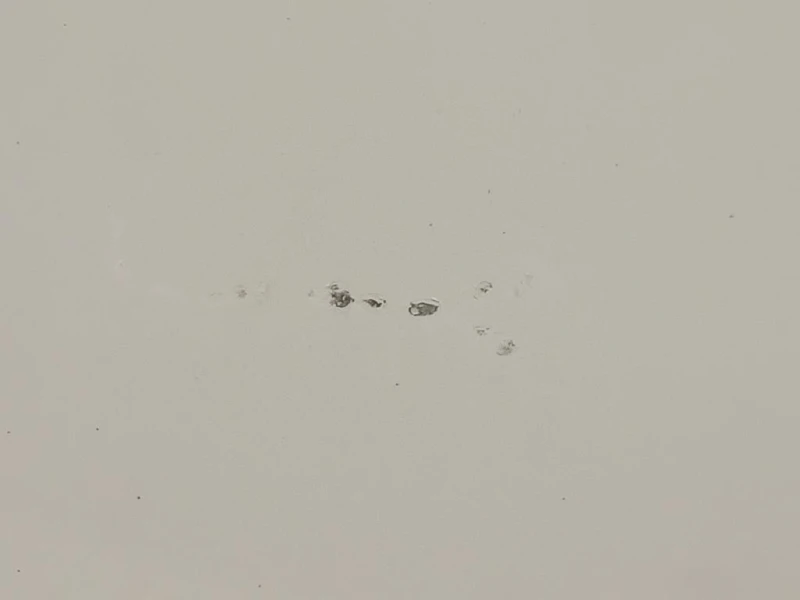 Cofano ANT 31371415 Volvo V50 2004